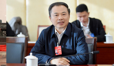 两会季丨萦绕区域经济，，，，，，，，张天任代表提交这些建议